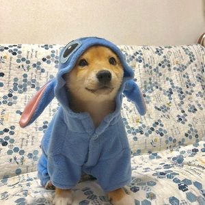 Meet your Posher, Anne